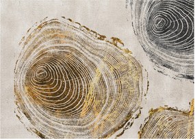 Obraz - Abstrakcia kmeňov (70x50 cm)