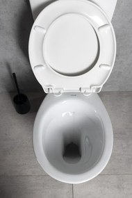 CREAVIT CREAVIT, WC kombi misa s nádržkou vrátane splachovacej súpravy, zadný odpad, biela, TP3306