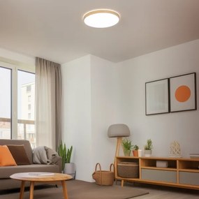 Brilagi - LED stlmiteľné stropné svietidlo PINE LED/60W/230V + diaľkové ovládanie