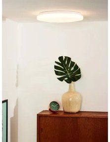 Lucide 79199/32/61 - LED Stropné svietidlo OTIS 1xLED/32W/230V