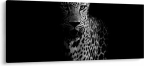 Obraz - Portrét leoparda (120x50 cm)