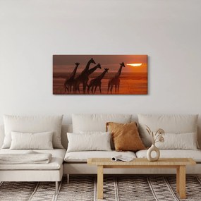 Obraz - Žirafy v africkej savane (120x50 cm)