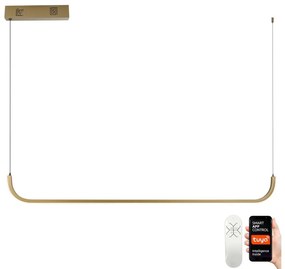 Immax NEO 07227L - LED Stmievateľný luster na lanku PATTINI LED/26W/230V Tuya+DO 07227L