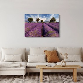 Obraz - Levanduľové pole a hory (90x60 cm)