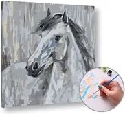 Maľovanie podľa čísel BIELY ŽREBEC  – nízka náročnosť