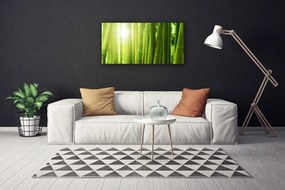 Obraz na plátne Bambus rastlina 120x60 cm