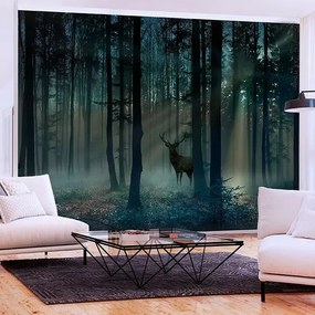 Fototapeta - Mystical Forest - Third Variant Veľkosť: 400x280, Verzia: Premium