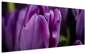 Obraz kvetov tulipánov (120x50 cm)