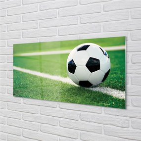 Obraz plexi Futbalový trávnik 100x50 cm