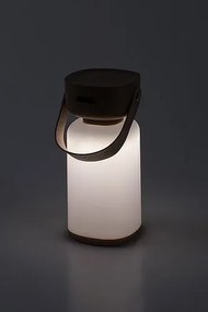 Rabalux FUNES LED vonkajšia dekoratívna lampa 77143