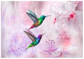 Fototapeta na stenu Colourful Hummingbirds