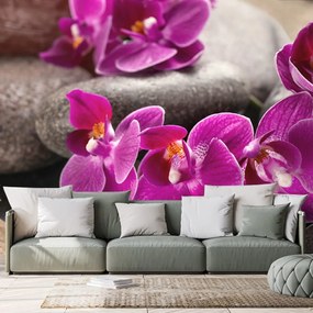 Fototapeta zen kamene s krásnymi kvetmi orchidey