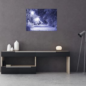 Sklenený obraz - Čarovná zimná noc (70x50 cm)