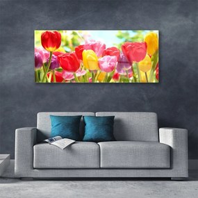 Obraz plexi Tulipány kvety rastlina 125x50 cm