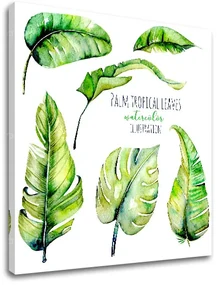 Obraz na stenu s textom Palm tropical leaves | rôzne rozmery