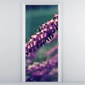 Fototapeta na dvere - Levanduľa (95x205cm)