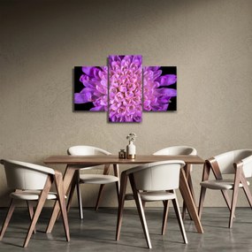 Detailný obraz kvetu (90x60 cm)