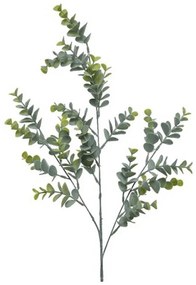 XXXLutz DEKORAČNÁ VETVIČKA eukalyptus 73 cm - Kvety & kvetináče - 0037545099