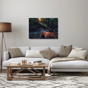 Sklenený obraz horskej riečky (70x50 cm)