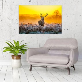 Obraz - Jeleň pri východe slnka (90x60 cm)