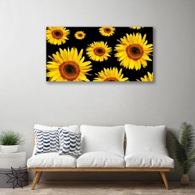Obraz Canvas Slnečnica rastlina príroda 120x60 cm