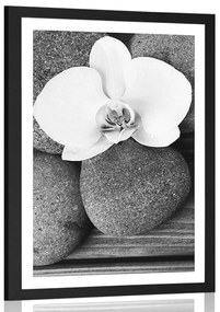 Plagát s paspartou wellness kamene a orchidea na drevenom pozadí v čiernobielom prevedení - 20x30 white