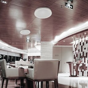 LED Stmievateľné stropné svietidlo LED/40W/230V 3000K/4000K/6500K + DO