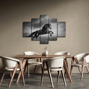 Obraz - Kôň čiernobiely (150x105 cm)