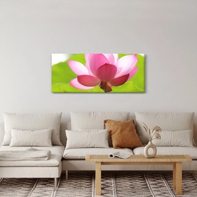 Obraz kvetu Lotusu (120x50 cm)