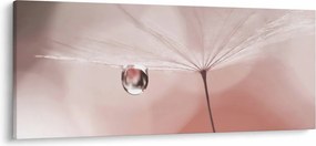 Obraz - Kvapka rosy (120x50 cm)
