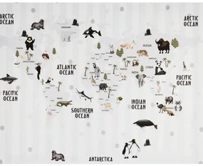 Obraz tlačený na plátne 40x50 PRC1081