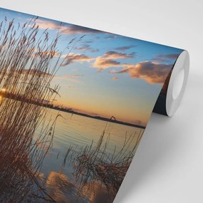 Samolepiaca fototapeta steblá trávy pri jazere - 150x100