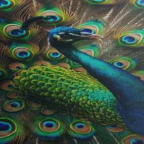 Obraz – Páv (120x50 cm)