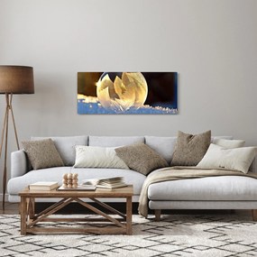 Obraz zamrznutej bubliny (120x50 cm)