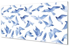 Nástenný panel  maľované vtáky 120x60 cm