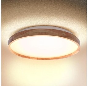 Brilagi - LED Stropné svietidlo ALSON LED/24W/230V dub BG1622