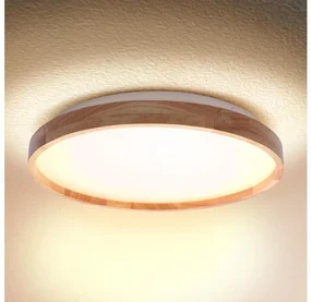 Brilagi - LED Stropné svietidlo ALSON LED/24W/230V dub BG1622