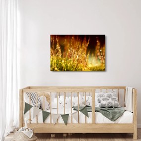 Obraz - Detail rosy (90x60 cm)