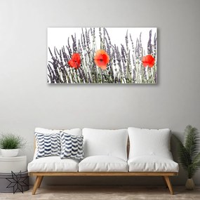 Skleneny obraz Kvety maky pole trávy 125x50 cm