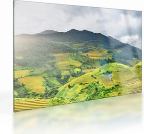 Sklenený obraz plantáže (70x50 cm)