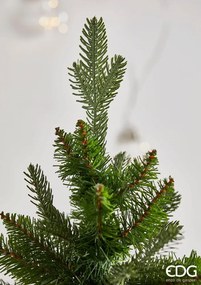 Vianočný strom borovica v kvetináči, 90x66 cm