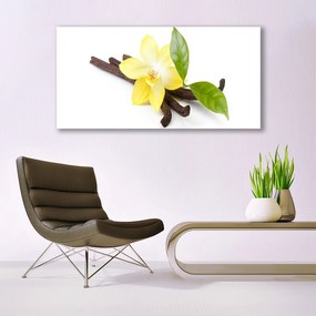 Obraz plexi Vanilka listy rastlina 120x60 cm