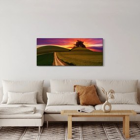 Obraz poľa a farebného neba (120x50 cm)