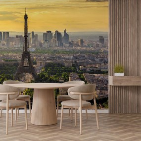 Fototapeta - Panoráma Paríža (147x102 cm)