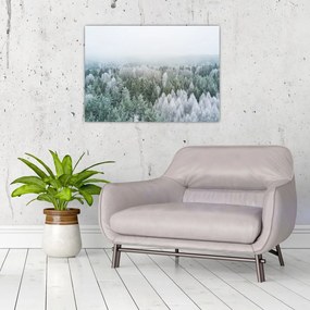 Sklenený obraz - Zasnežené vrcholky lesov (70x50 cm)