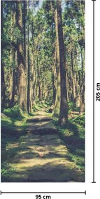 Fototapeta na dvere - Cesta medzi stromami (95x205cm)