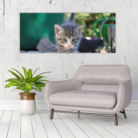 Obraz mačiatka (120x50 cm)