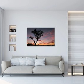 Obraz - Strom a červánky (90x60 cm)
