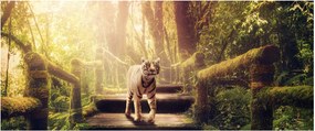 Obraz tigra v džungli (120x50 cm)