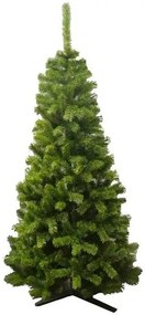 Limpol Jedľa Eliza 2,20 m